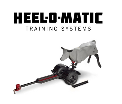 Training Systems
