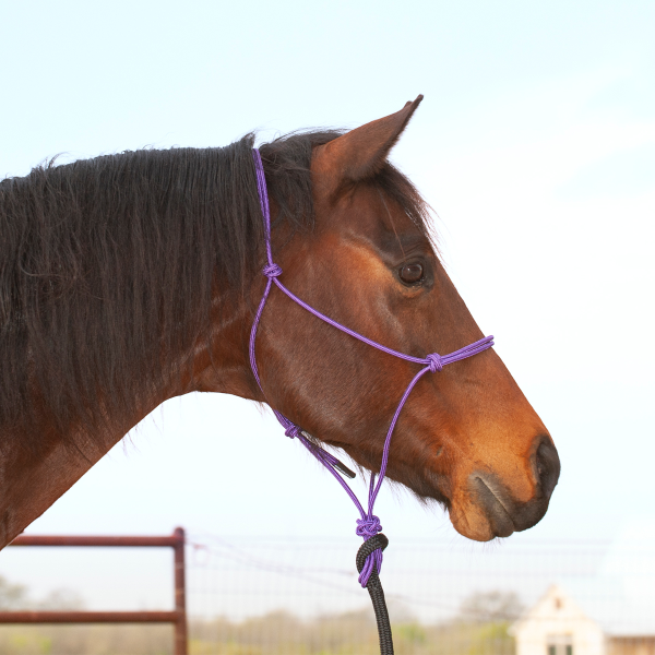 Classic Equine Premium Rope Halter