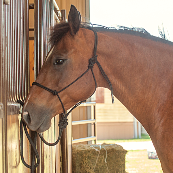 Classic Equine Rope Work Halter and Lead Rope