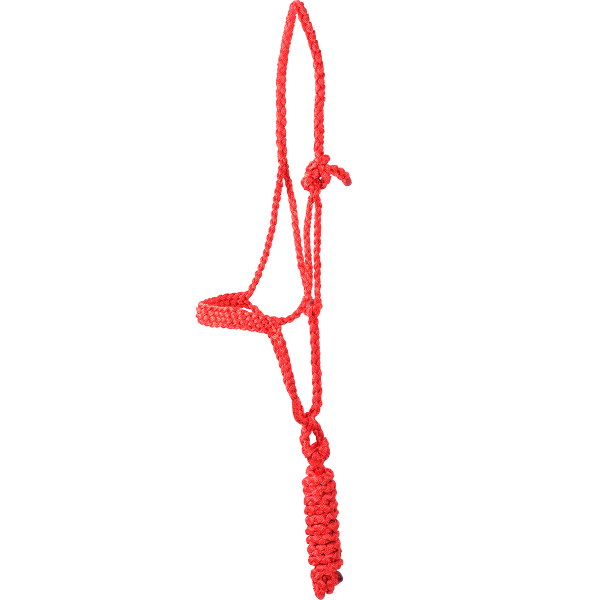Classic Equine Flat Braid Halter and Lead Rope