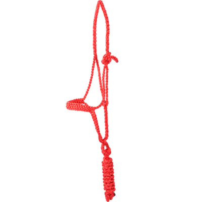 Classic Equine Flat Braid Halter and Lead Rope
