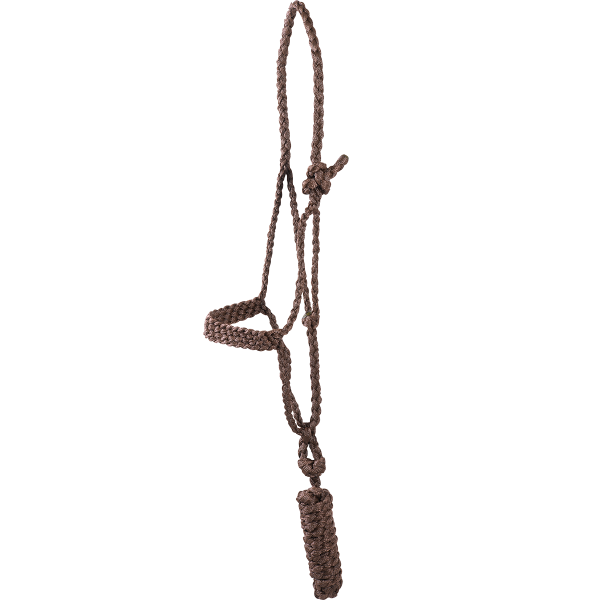 Classic Equine Flat Braid Halter and Lead Rope