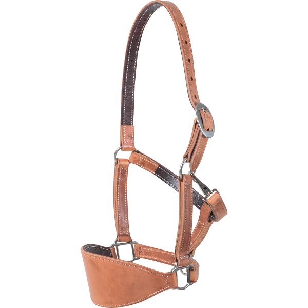 Classic Equine Harness Bronc Halter