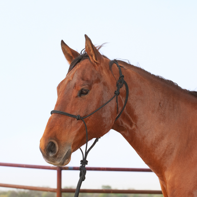 Classic Equine Premium Rope Halter and Lead Rope