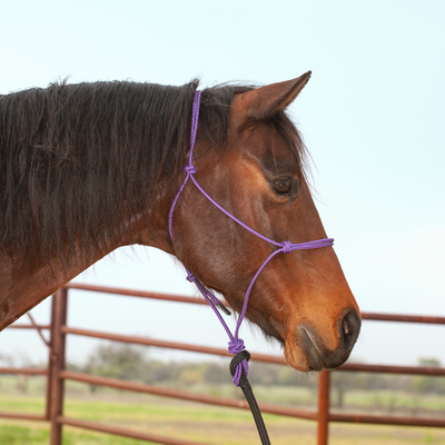Classic Equine Premium Rope Halter and Lead Rope