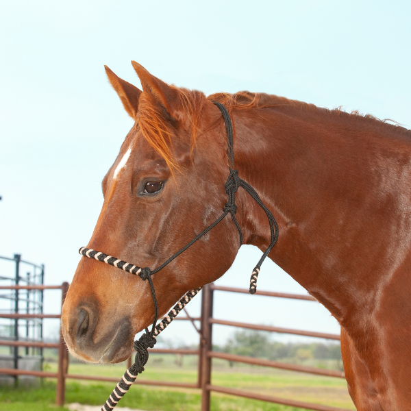 Classic Equine 2-Tone Rope Halter and Lead Rope