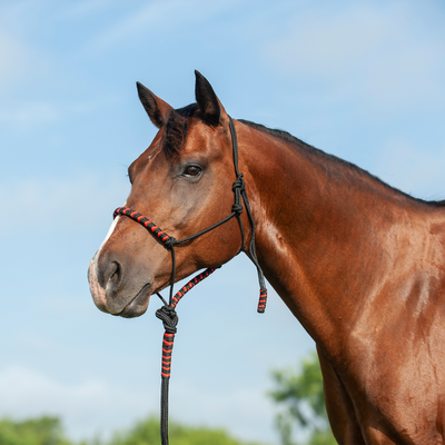 Classic Equine 2-Tone Rope Halter and Lead Rope