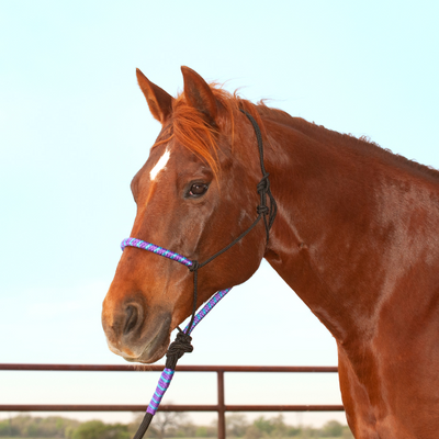 Classic Equine 2-Tone Rope Halter and Lead Rope