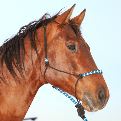 Classic Equine 2-Tone Rope Halter and Lead Rope