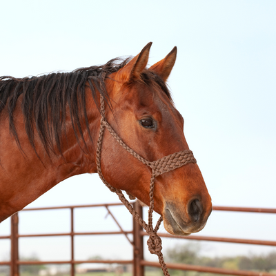 Classic Equine Wide Nose Flat Braid Halter and Lead Rope