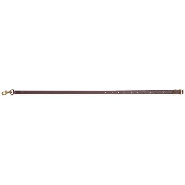 Martin Saddlery Biothane Tie Down Strap