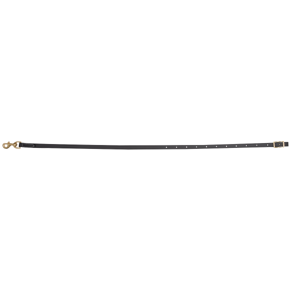 Martin Saddlery Biothane Tie Down Strap
