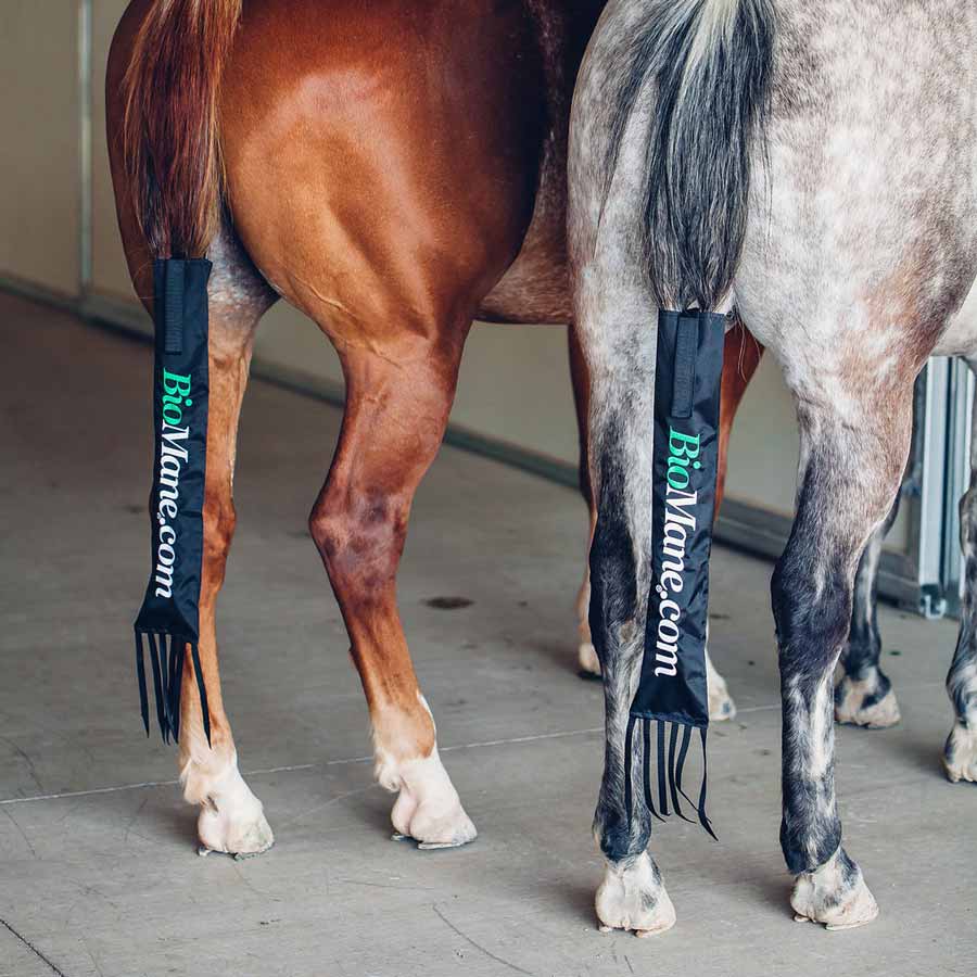 BioMane Tailbag
