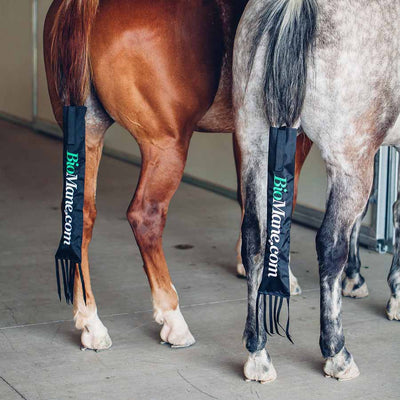 BioMane Tailbag