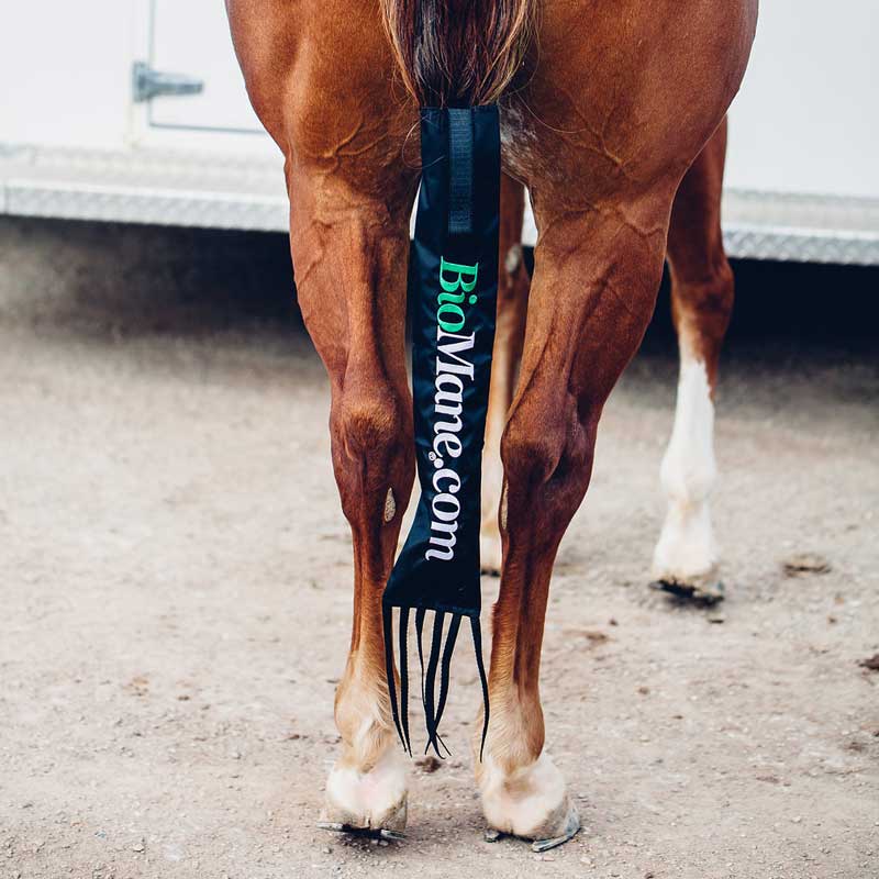 BioMane Tailbag